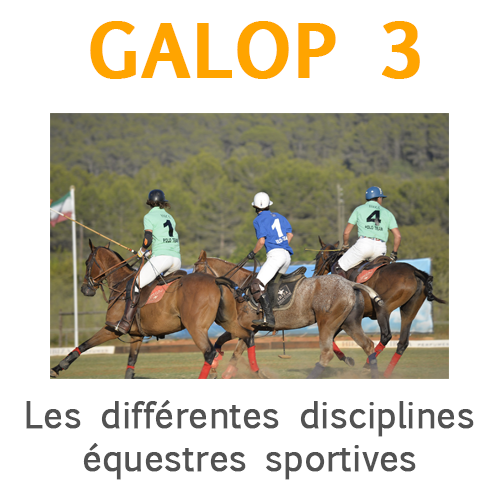 Galop 3, Identifier quelques disciplines équestres sportives et leurs caractéristiques, dont celles pratiquées dans son club Galop 3, Identifier quelques disciplines équestres sportives et leurs caractéristiques, dont celles pratiquées dans son club