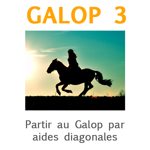 Galop 3, partir au galop par aides diagonales Galop 3, partir au galop par aides diagonales