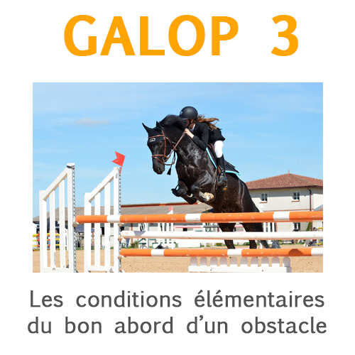 Galop 3, expliquer bien aborder l'obstacle