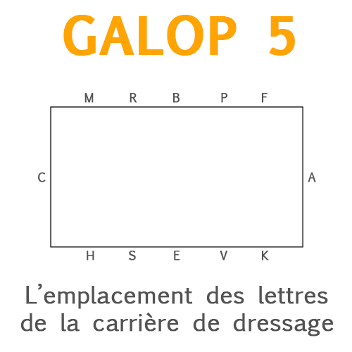 L'emplacement des lettres de la carrière de dressage