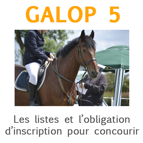 La puce électronique ou transpondeur du cheval