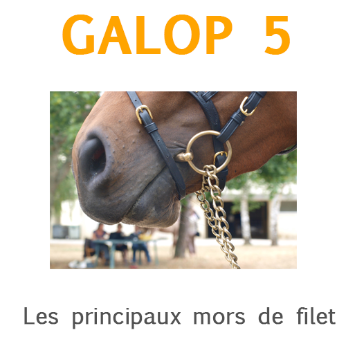 Les principaux mors de filet