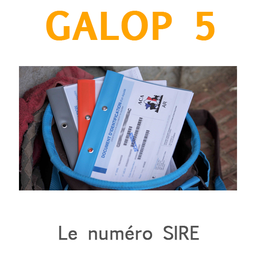 Le numéro SIRE