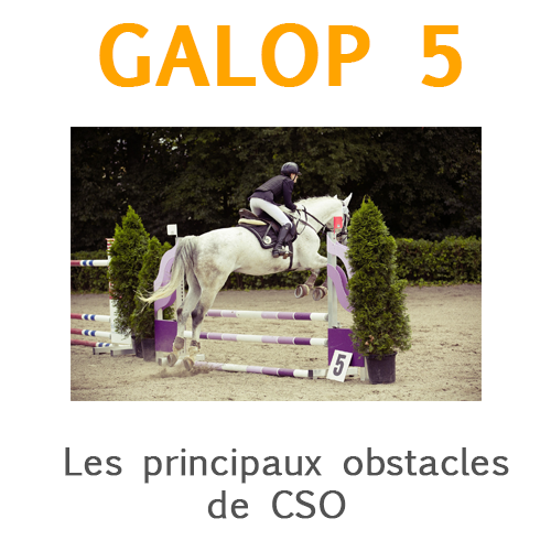 Les prinicpaux obstacles de CSO galop 5