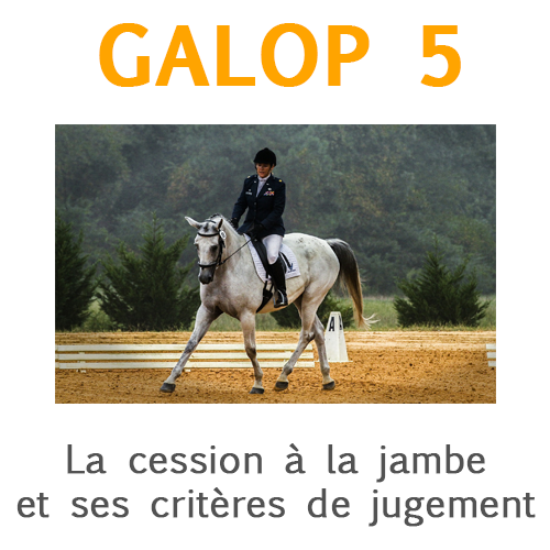 La cession des jambes et les critères de jugement