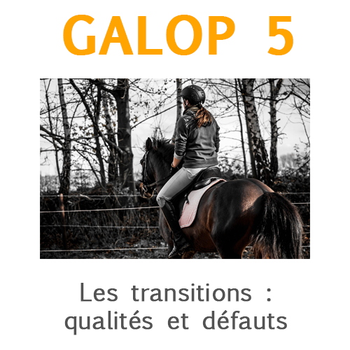 Les transitions qualités et défauts