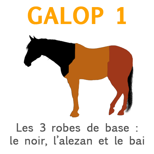Les trois robes Les trois robes