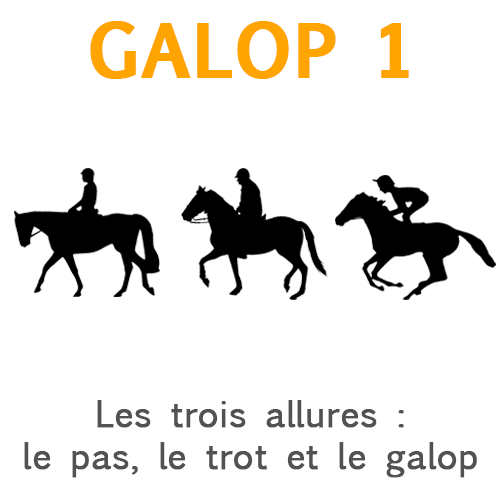 Les trois allures Les trois allures