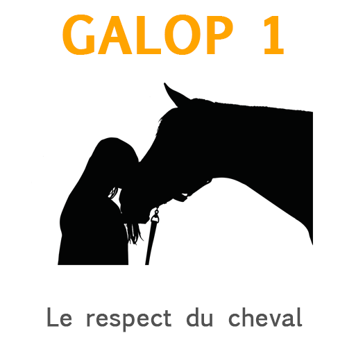 Respect du cheval Respect du cheval