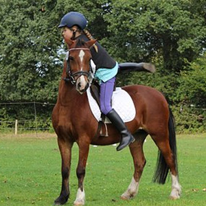 galop 2
