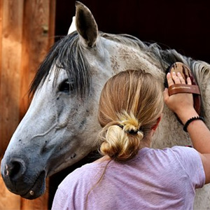 galop 3