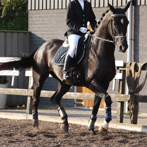 Galop 4
