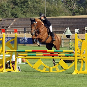 galop 5 6 7