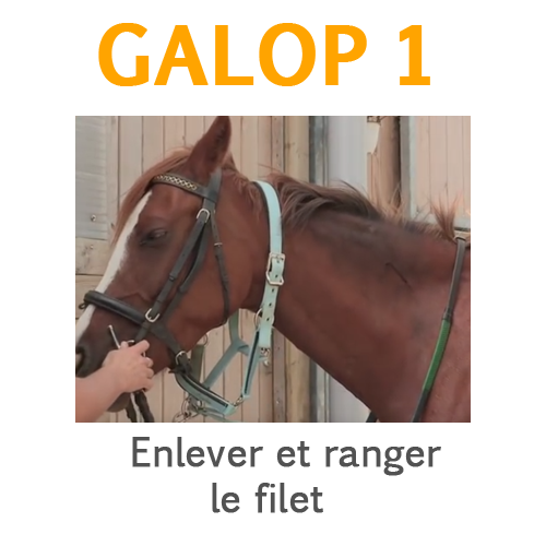 Enlever et ranger le filet Enlever et ranger le filet