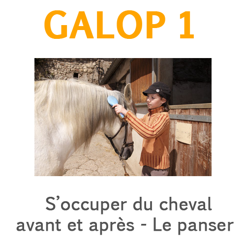 Panser le cheval Panser le cheval