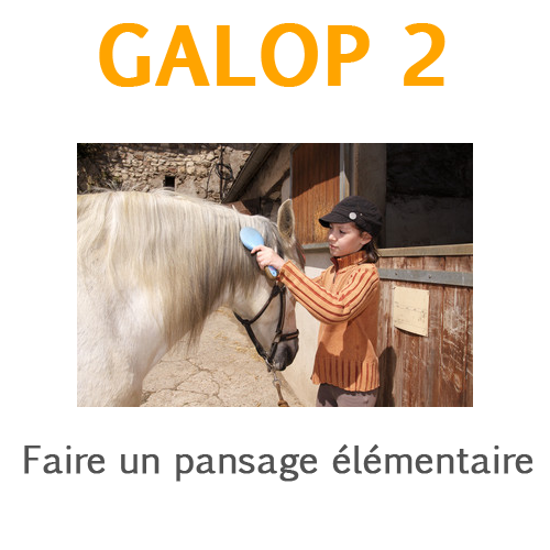 galop 2 pansage elementaire galop 2 pansage elementaire