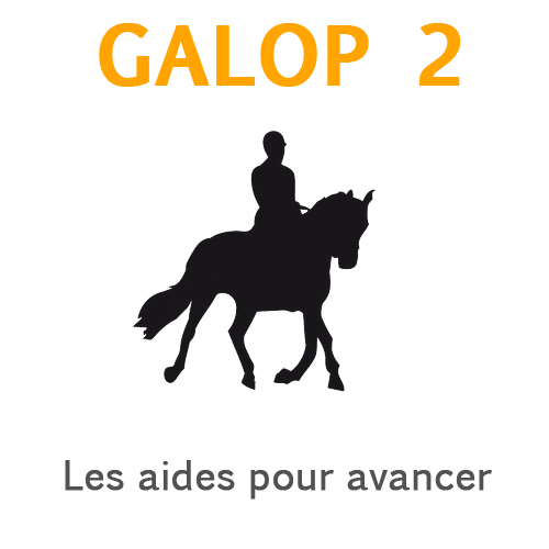 galop 2 connaissance aides pour avancer galop 2 connaissance aides pour avancer