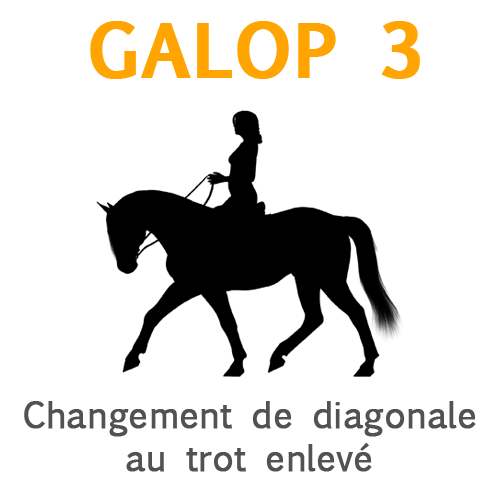 Galop 3, la raison du changement de diagonal au trot enlevé Galop 3, la raison du changement de diagonal au trot enlevé