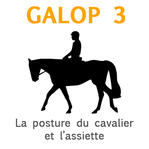Galop 3, la posture du cavalier assis et l’assiette Galop 3, la posture du cavalier assis et l’assiette