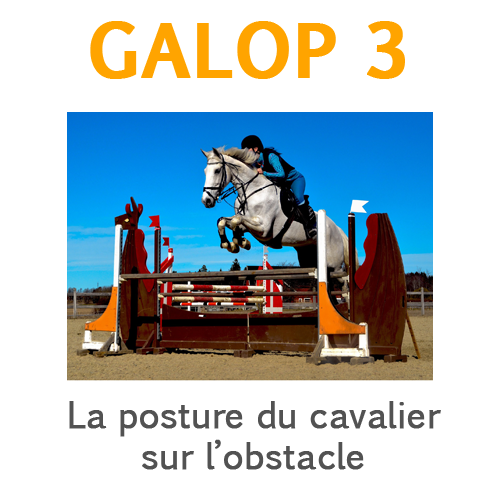 galop 3 posture du cavalier sur l'obstacle galop 3 posture du cavalier sur l'obstacle
