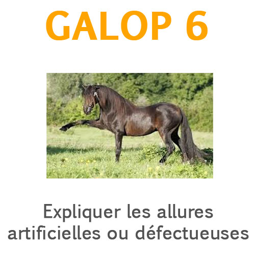 Allures défectueuses et artificielles