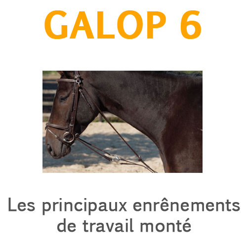 Principaux enrênements du travail monté