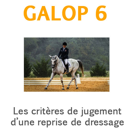 Les critères de jugement des mouvements d’une reprise de dressage Club