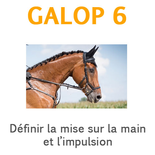 La mise sur la main et l'implusion