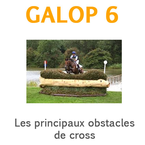 Principaux obstacles de cross