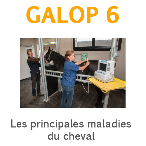 Les grands principes d'apprentissage