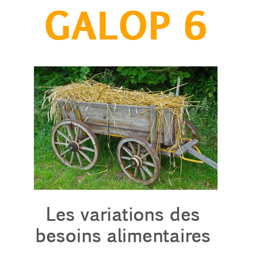 Les variations alimentaires en fonction des besoisn du cheval