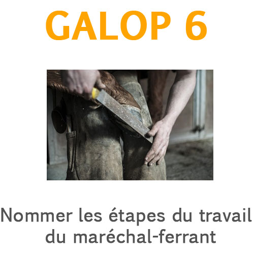 Nommer les étapes du travail du maréchal-ferrant