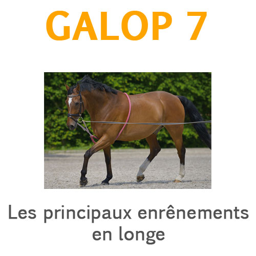 Les principaux enrenements en longe galop 7