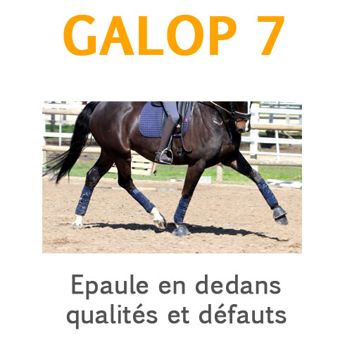 Epaule en dedans qualités et défauts galop 7
