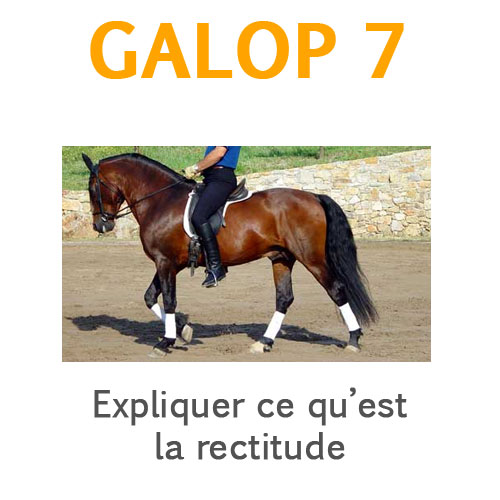 Expliquer la rectitude galop 7