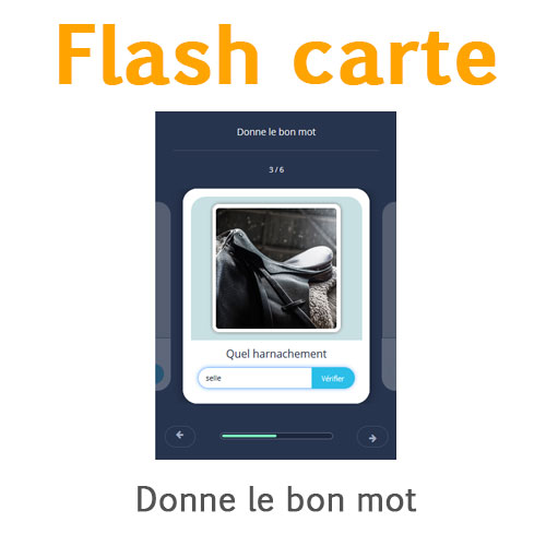 Vrai Faux galop 3