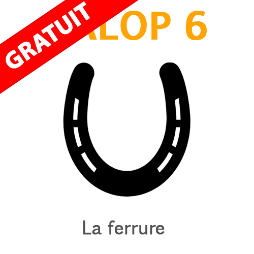 ferrure galop 6 La ferrure