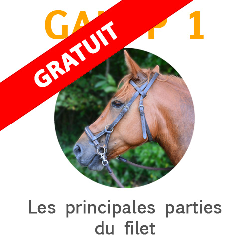 galop-1-connaissance-parties-du-filet Parties du filet