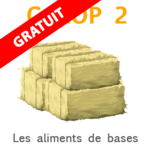 galop-2-aliments-de-base-cheval Les aliments de bases