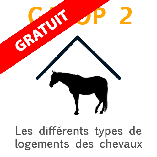 galop-2-types-de-logements-chevaux Types de logements