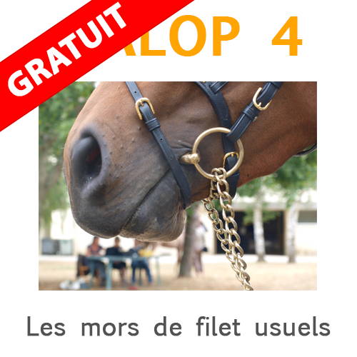 le mors de filet galop 4 Les mors de filet usuels