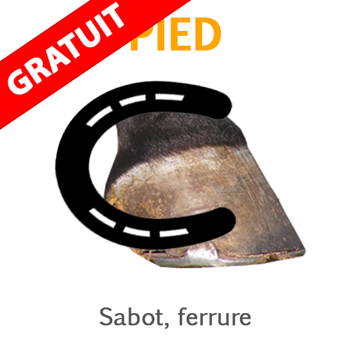 le sabot et la ferrure
