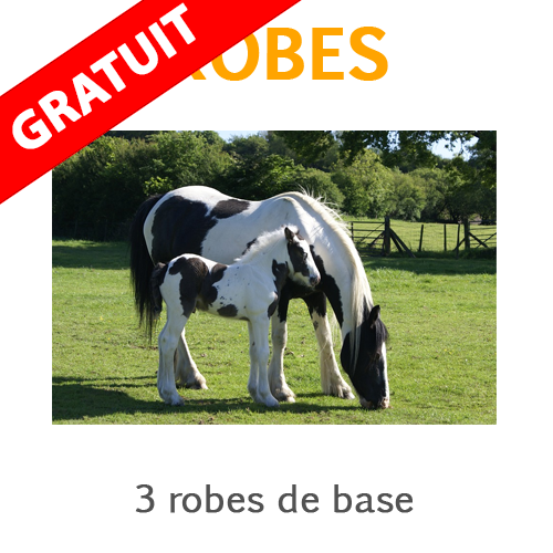 Les robes