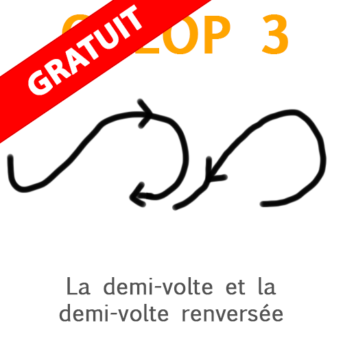 volte-galop3 figures