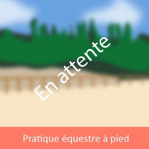 PB-PAPied Vignette en attente