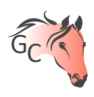FAVICON favicon