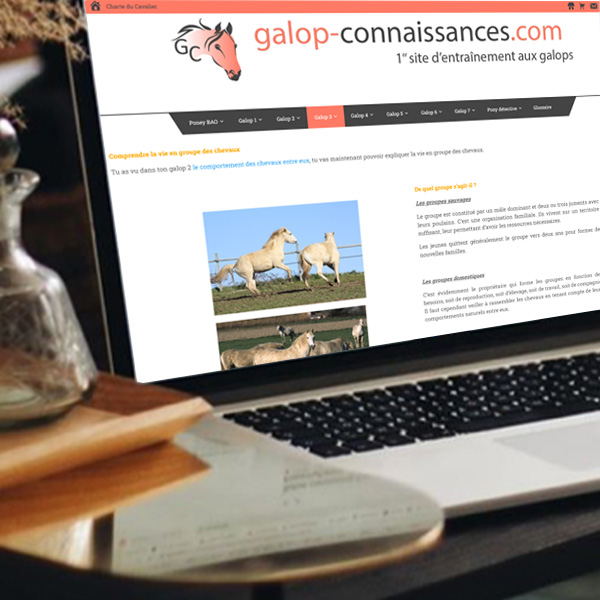 cours Présentation du site sur un ordinateur